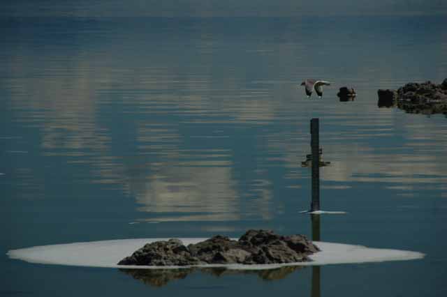 Mono Lake